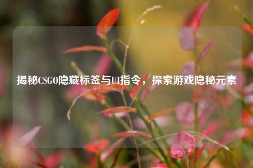 揭秘CSGO隐藏标签与UI指令，探索游戏隐秘元素
