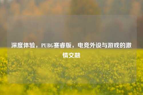 深度体验，PUBG赛睿版，电竞外设与游戏的激情交融