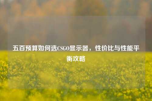 五百预算如何选CSGO显示器，性价比与性能平衡攻略