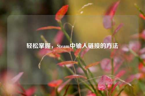 轻松掌握，Steam中输入链接的方法