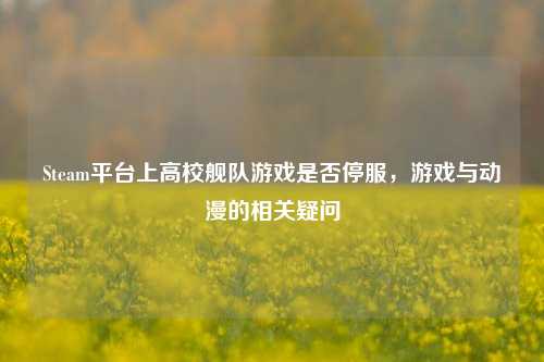 Steam平台上高校舰队游戏是否停服，游戏与动漫的相关疑问
