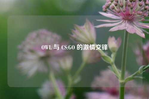 OWL 与 CS:GO 的激情交锋