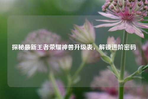 探秘最新王者荣耀神兽升级表，解锁进阶密码
