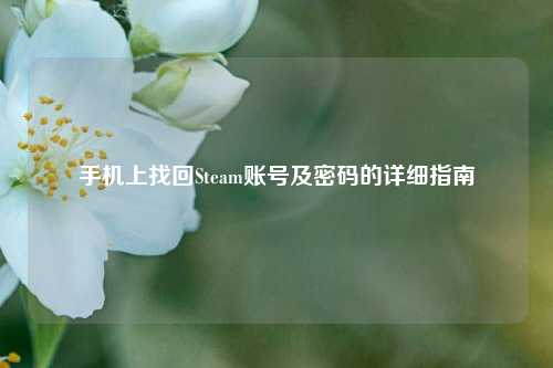 手机上找回Steam账号及密码的详细指南