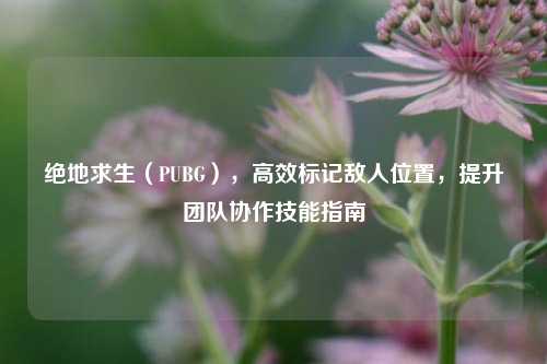 绝地求生（PUBG），高效标记敌人位置，提升团队协作技能指南