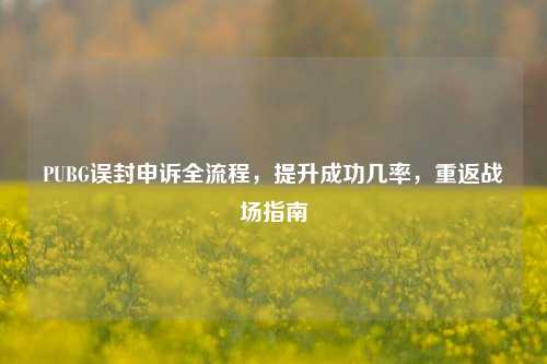 PUBG误封申诉全流程，提升成功几率，重返战场指南