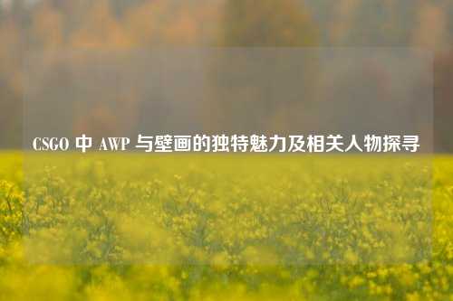 CSGO 中 AWP 与壁画的独特魅力及相关人物探寻