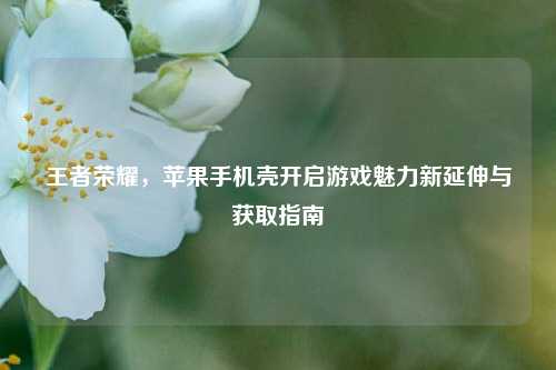 王者荣耀，苹果手机壳开启游戏魅力新延伸与获取指南