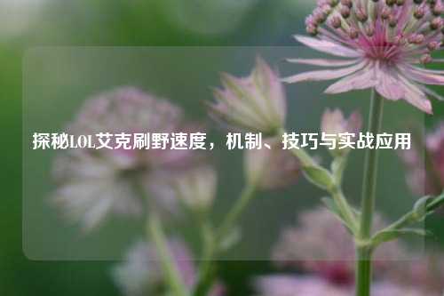 探秘LOL艾克刷野速度，机制、技巧与实战应用