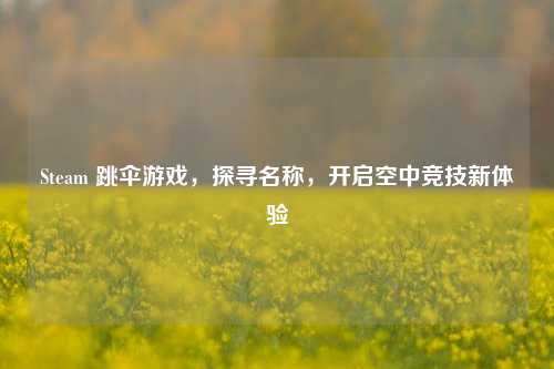Steam 跳伞游戏，探寻名称，开启空中竞技新体验