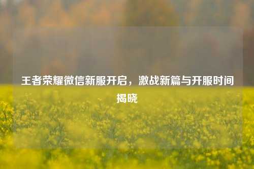 王者荣耀微信新服开启，激战新篇与开服时间揭晓