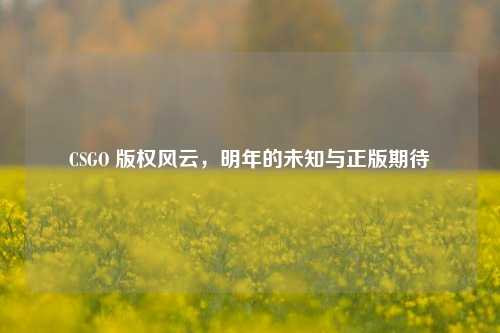 CSGO 版权风云，明年的未知与正版期待