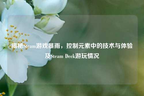 揭秘Steam游戏暴雨,控制元素中的技术与体验及Steam Deck游玩情况