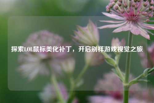 探索LOL鼠标美化补丁，开启别样游戏视觉之旅