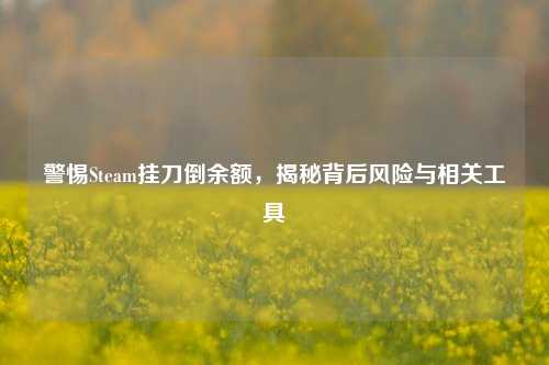 警惕Steam挂刀倒余额，揭秘背后风险与相关工具