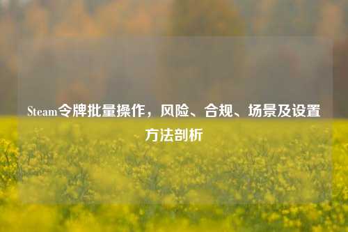 Steam令牌批量操作，风险、合规、场景及设置方法剖析