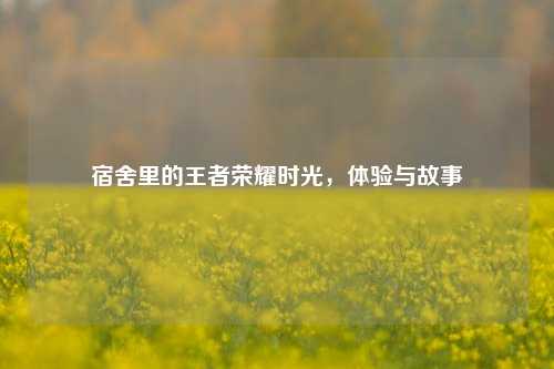 宿舍里的王者荣耀时光，体验与故事
