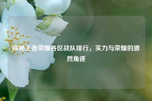 探秘王者荣耀各区战队排行，实力与荣耀的激烈角逐