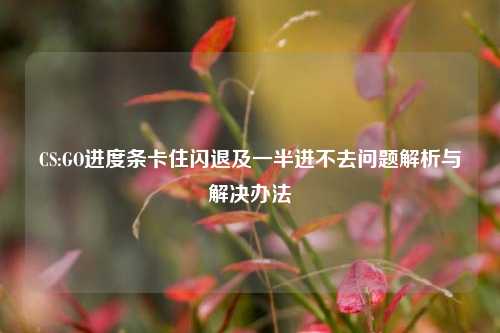 CS:GO进度条卡住闪退及一半进不去问题解析与解决办法