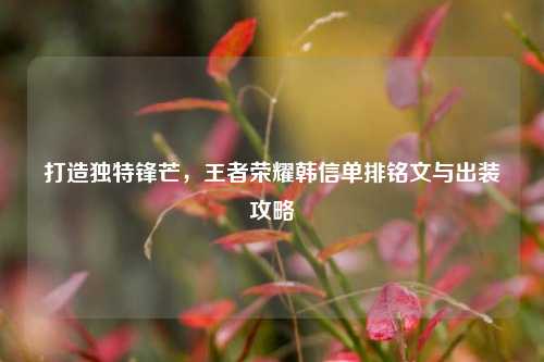 打造独特锋芒，王者荣耀韩信单排铭文与出装攻略