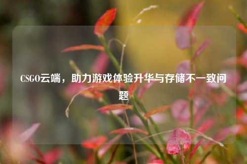CSGO云端，助力游戏体验升华与存储不一致问题