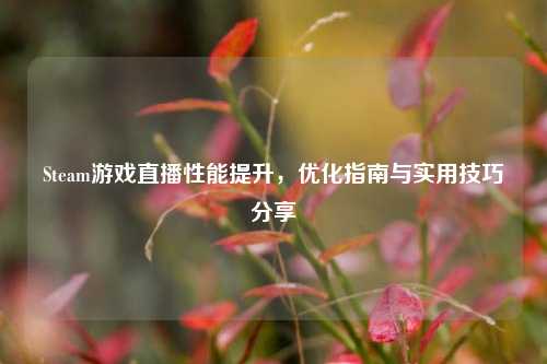 Steam游戏直播性能提升,优化指南与实用技巧分享
