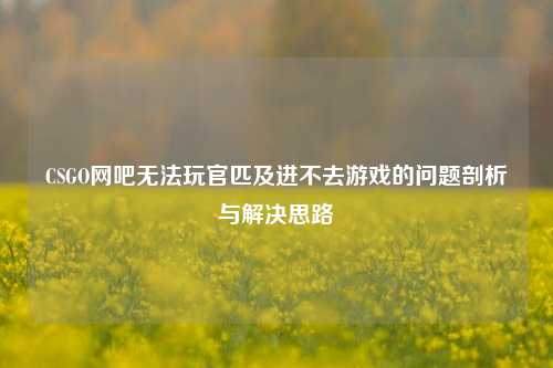 CSGO网吧无法玩官匹及进不去游戏的问题剖析与解决思路