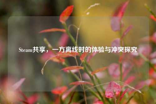 Steam共享，一方离线时的体验与冲突探究