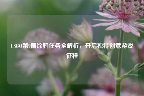 CSGO第9周涂鸦任务全解析，开启独特创意游戏征程