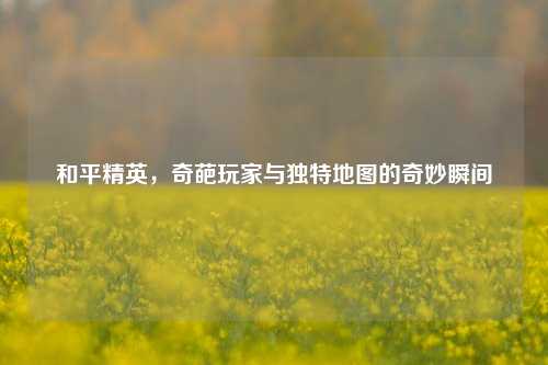 和平精英，奇葩玩家与独特地图的奇妙瞬间
