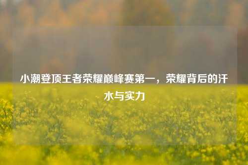 小潮登顶王者荣耀巅峰赛第一，荣耀背后的汗水与实力