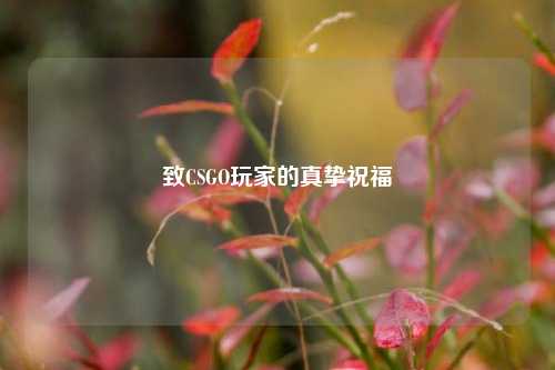致CSGO玩家的真挚祝福