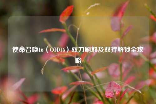 使命召唤16（COD16）双刀刷取及双持解锁全攻略