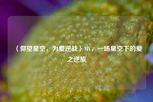 〈仰望星空，为爱逆战〉MV，一场星空下的爱之逆旅