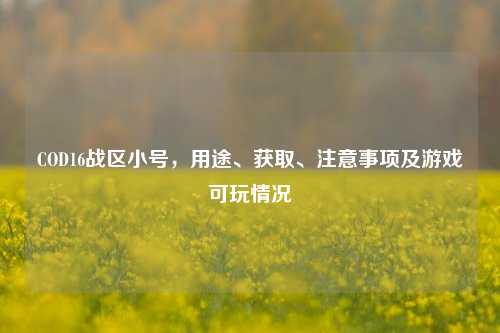 COD16战区小号，用途、获取、注意事项及游戏可玩情况