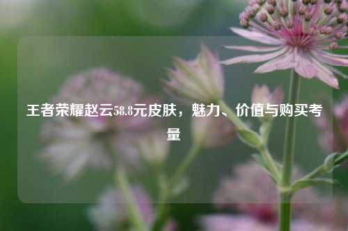 王者荣耀赵云58.8元皮肤，魅力、价值与购买考量