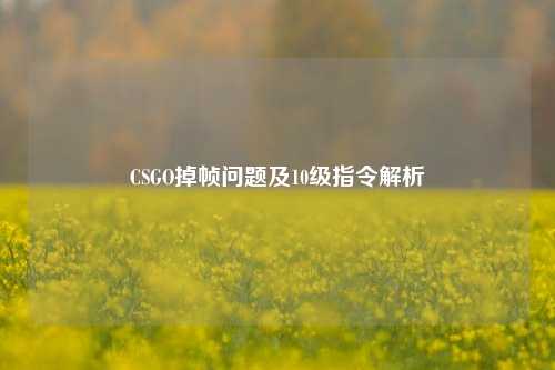 CSGO掉帧问题及10级指令解析