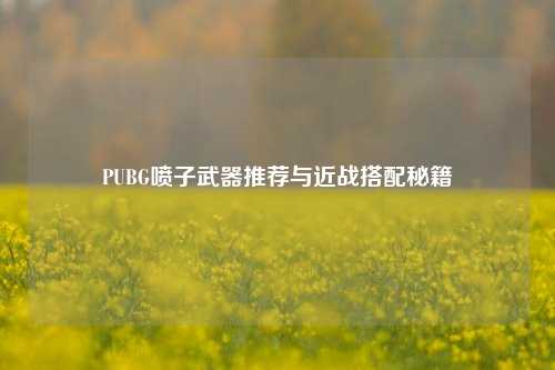 PUBG喷子武器推荐与近战搭配秘籍