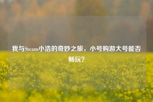 我与Steam小浩的奇妙之旅，小号购游大号能否畅玩？
