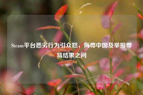 Steam平台恶劣行为引众怒,侮辱中国及举报辱骂结果之问