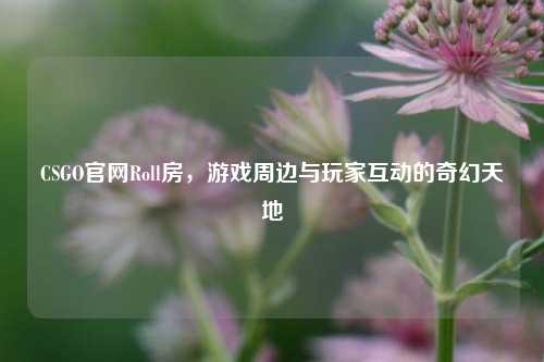 CSGO官网Roll房，游戏周边与玩家互动的奇幻天地