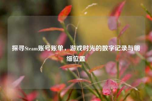 探寻Steam账号账单，游戏时光的数字记录与明细位置
