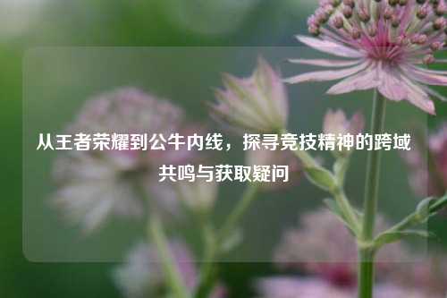 从王者荣耀到公牛内线，探寻竞技精神的跨域共鸣与获取疑问