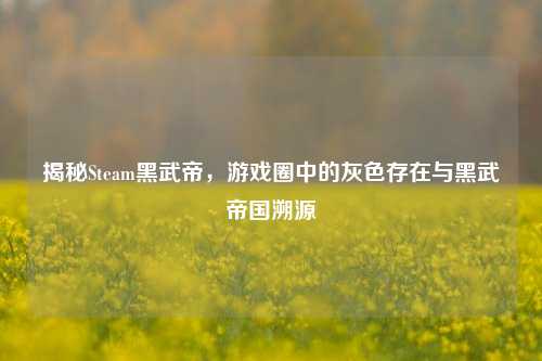 揭秘Steam黑武帝,游戏圈中的灰色存在与黑武帝国溯源