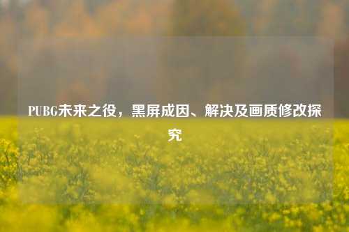 PUBG未来之役，黑屏成因、解决及画质修改探究