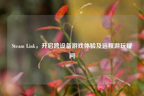 Steam Link，开启跨设备游戏体验及远程游玩疑问