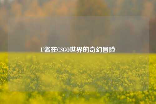 U酱在CSGO世界的奇幻冒险