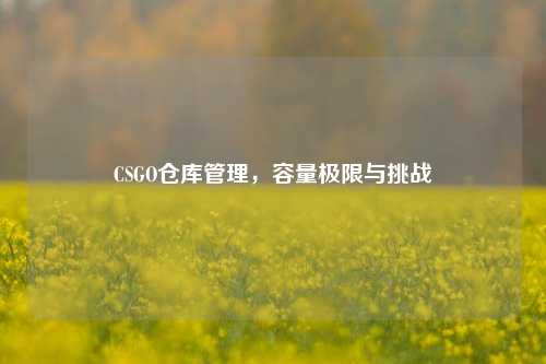 CSGO仓库管理，容量极限与挑战