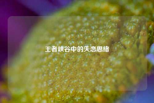 王者峡谷中的失恋思绪