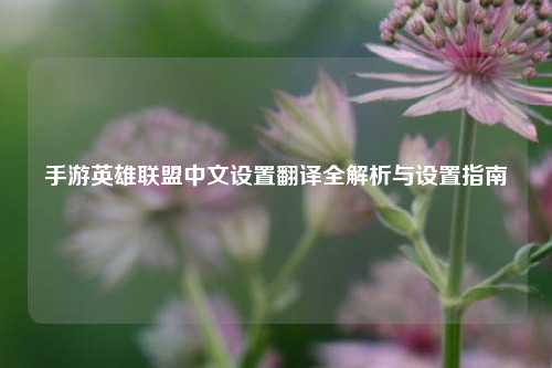 手游英雄联盟中文设置翻译全解析与设置指南